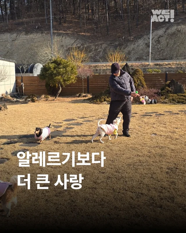알레르기보다 더 큰 사랑 현장 사진