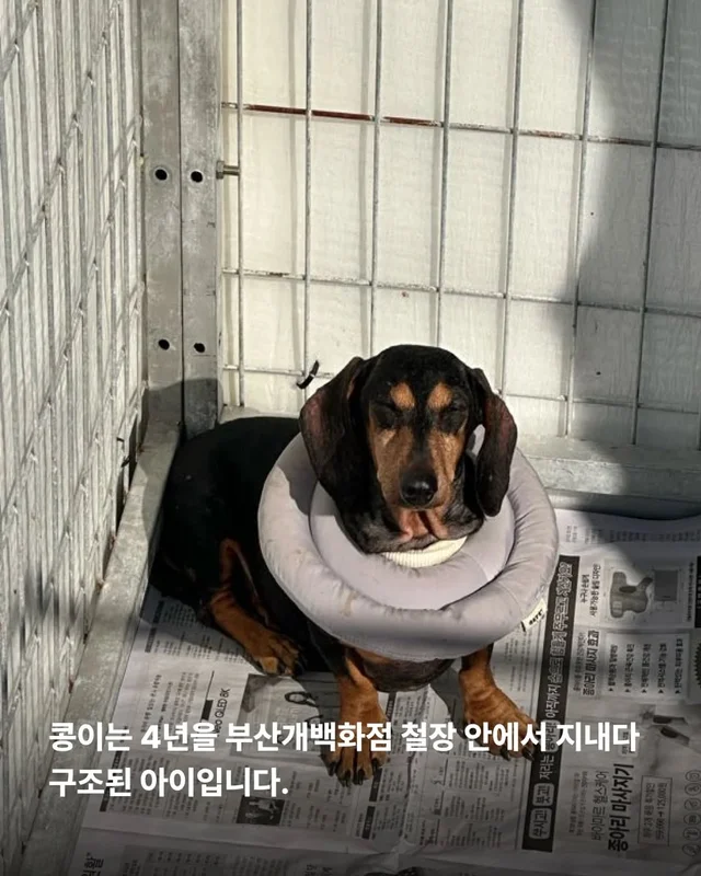 알레르기보다 더 큰 사랑 현장 사진
