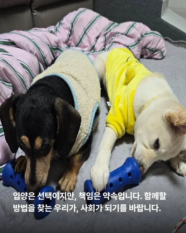 알레르기보다 더 큰 사랑 현장 사진
