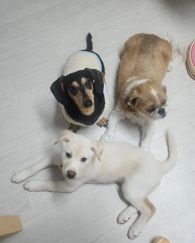알레르기보다 더 큰 사랑 현장 사진