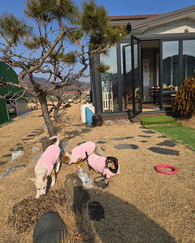 알레르기보다 더 큰 사랑 현장 사진