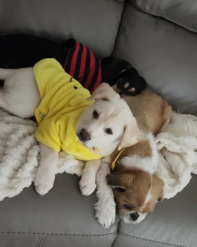 알레르기보다 더 큰 사랑 현장 사진
