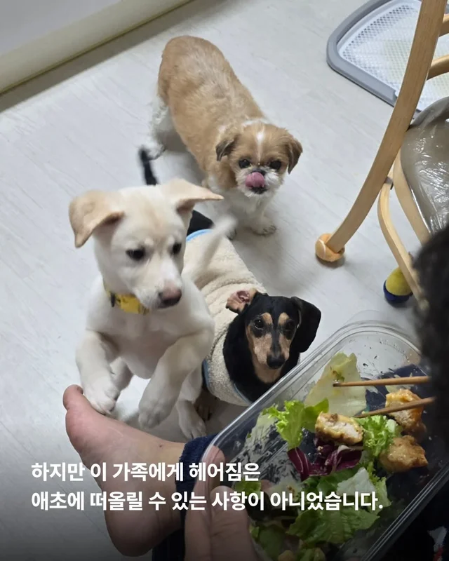 알레르기보다 더 큰 사랑 현장 사진