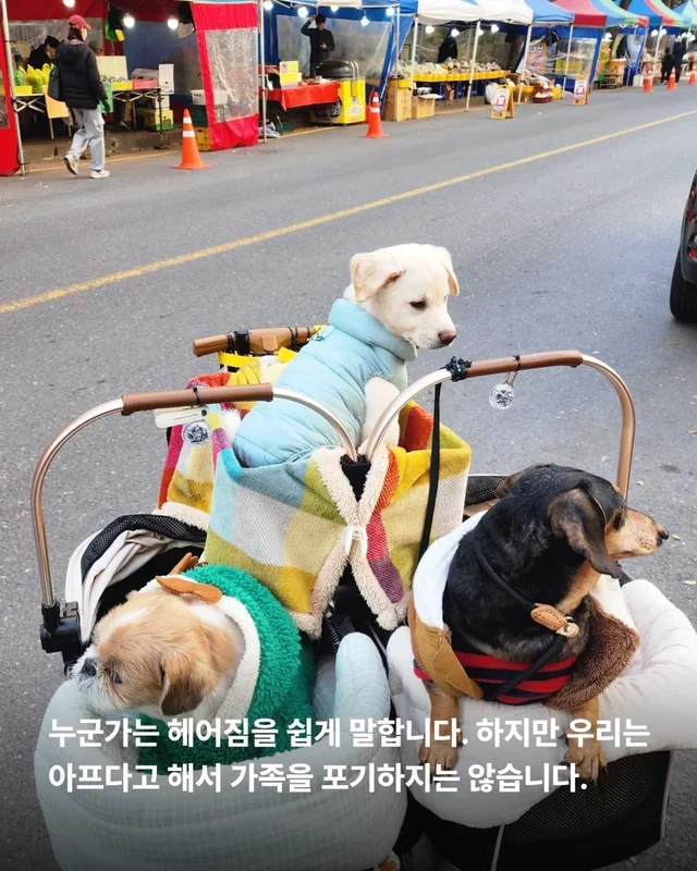 알레르기보다 더 큰 사랑 현장 사진