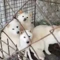 별내개농장 대표 사진