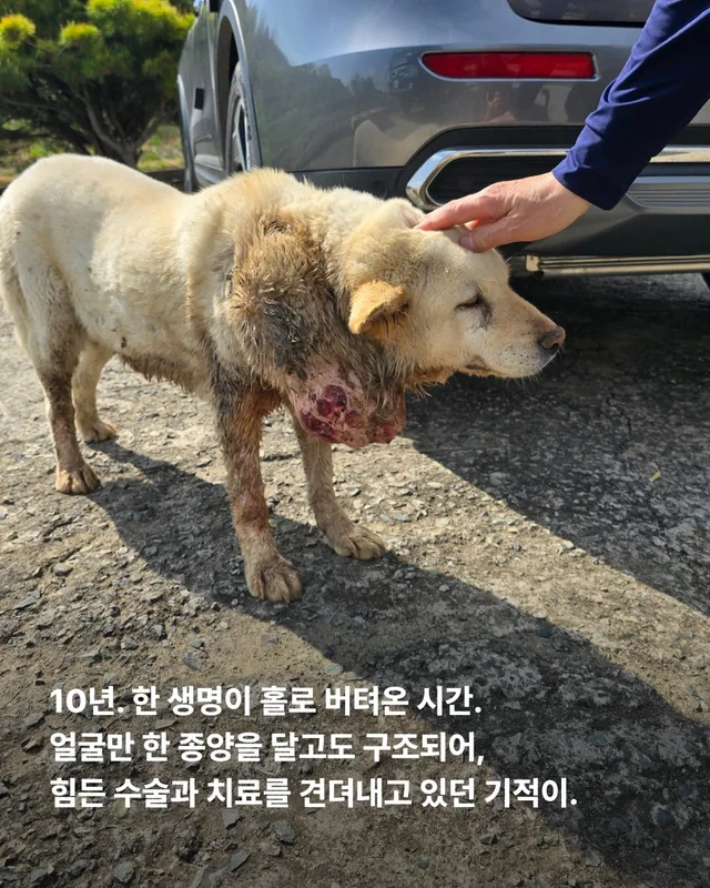 기적이가 울기 시작했습니다 현장 사진