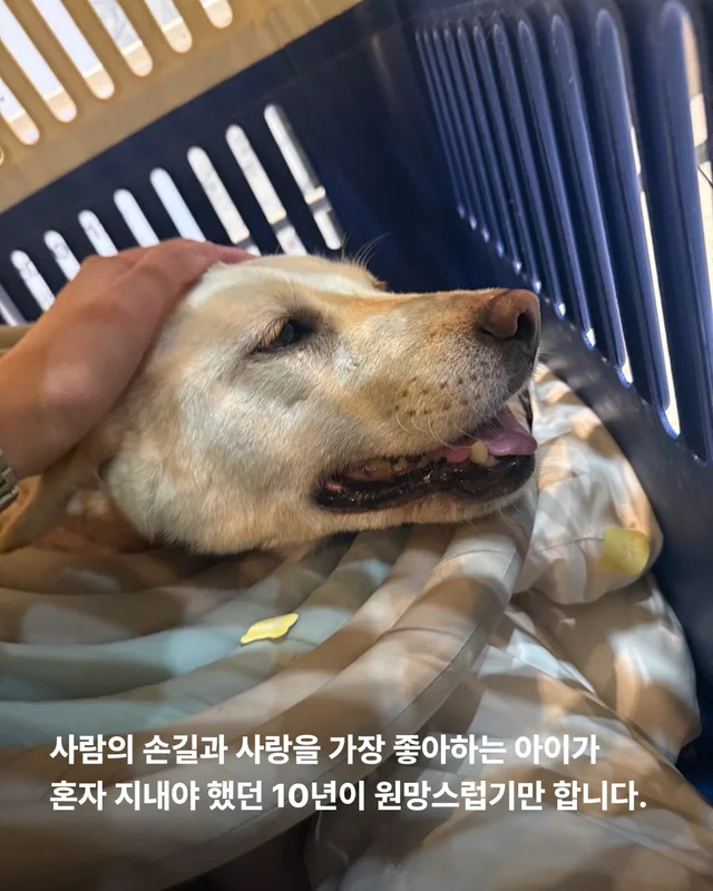 기적이가 울기 시작했습니다 현장 사진