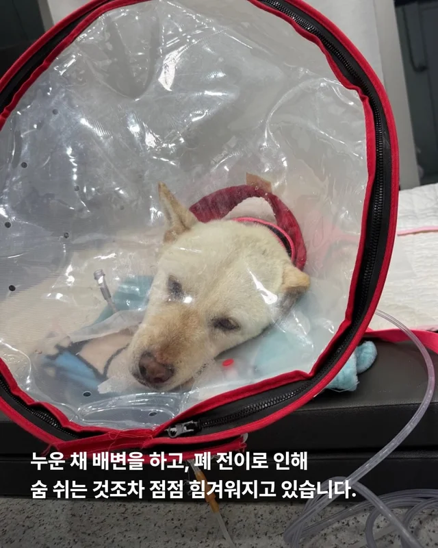 기적이가 울기 시작했습니다 현장 사진