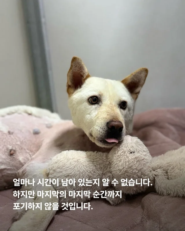 기적이가 울기 시작했습니다 현장 사진