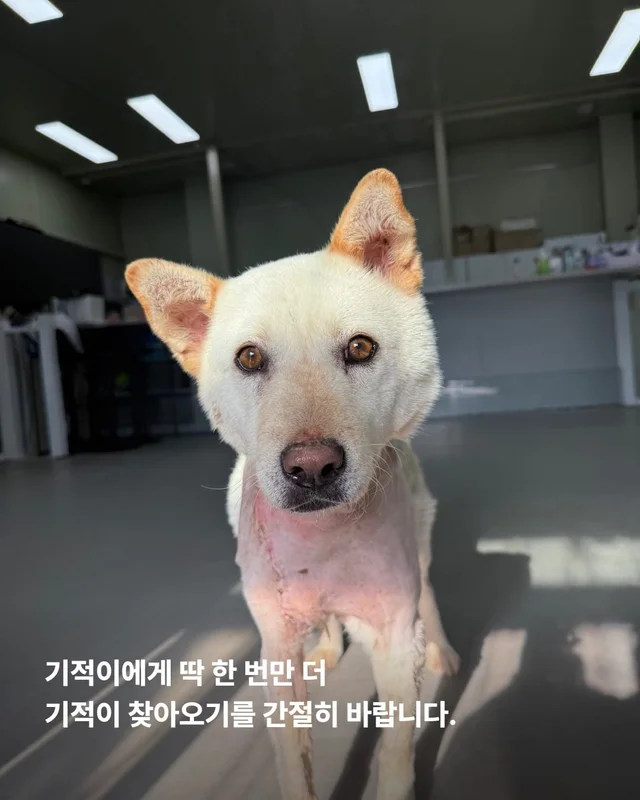 기적이가 울기 시작했습니다 현장 사진