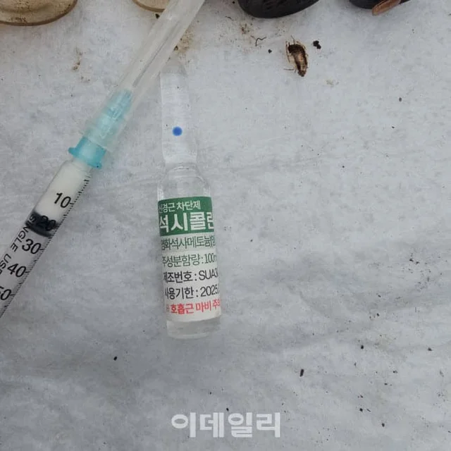 번식 지옥 속 실명에 탈장까지…20년간 눈감아 준 부.. 보도 사진