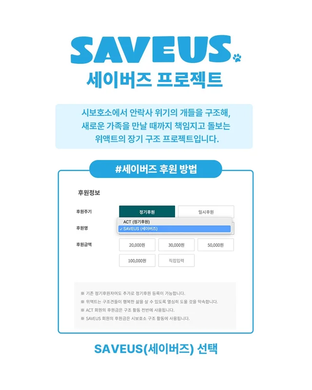 사연을 알 수 없는 개. #위액트보보 현장 사진