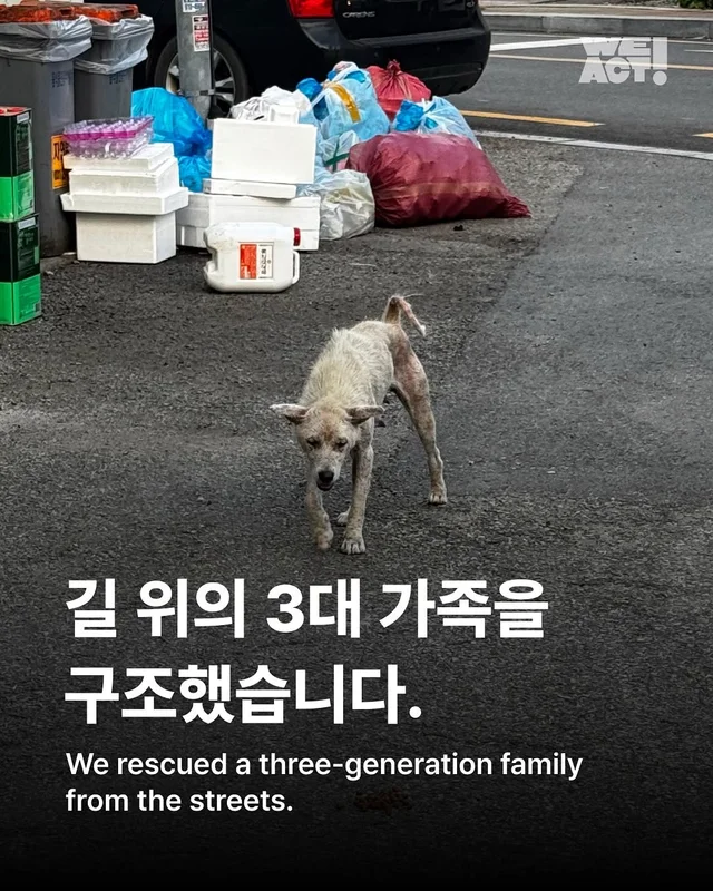 길 위의 3대 가족을 구조했습니다. #위액트보름 현장 사진