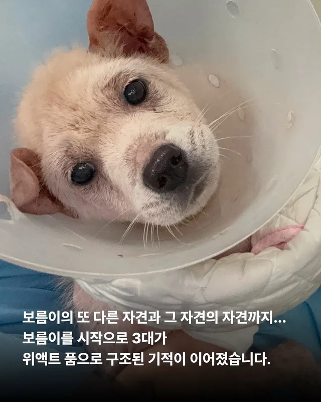 길 위의 3대 가족을 구조했습니다. #위액트보름 현장 사진