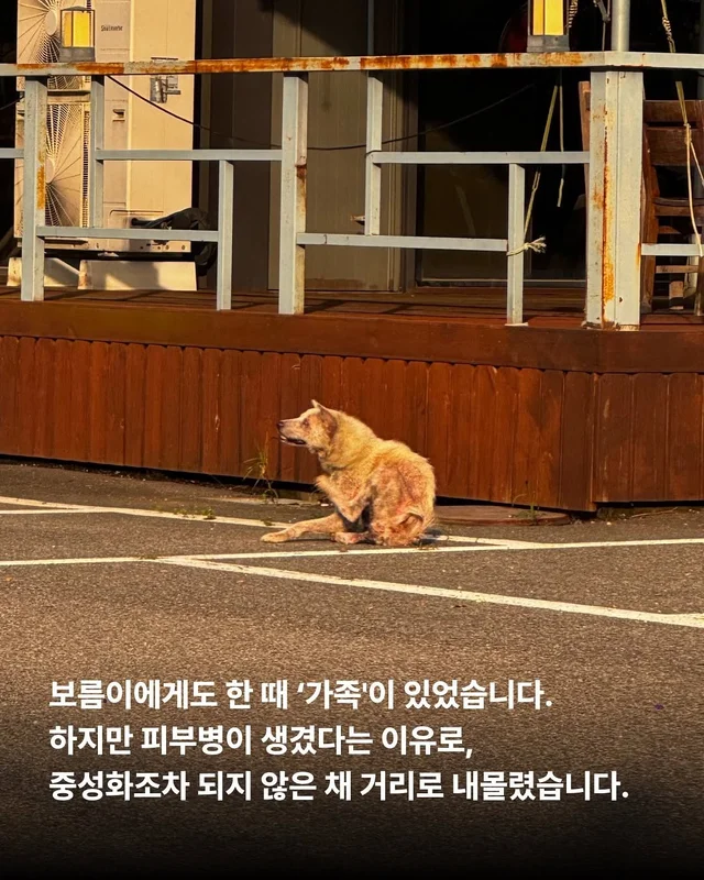길 위의 3대 가족을 구조했습니다. #위액트보름 현장 사진