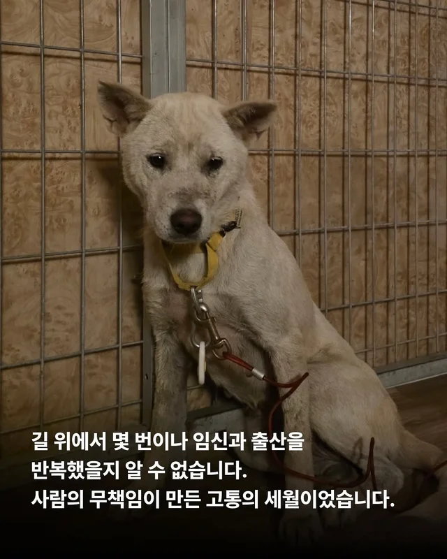 길 위의 3대 가족을 구조했습니다. #위액트보름 현장 사진
