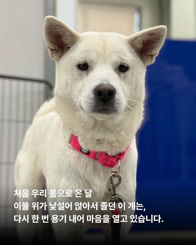 길 위의 3대 가족을 구조했습니다. #위액트보름 현장 사진