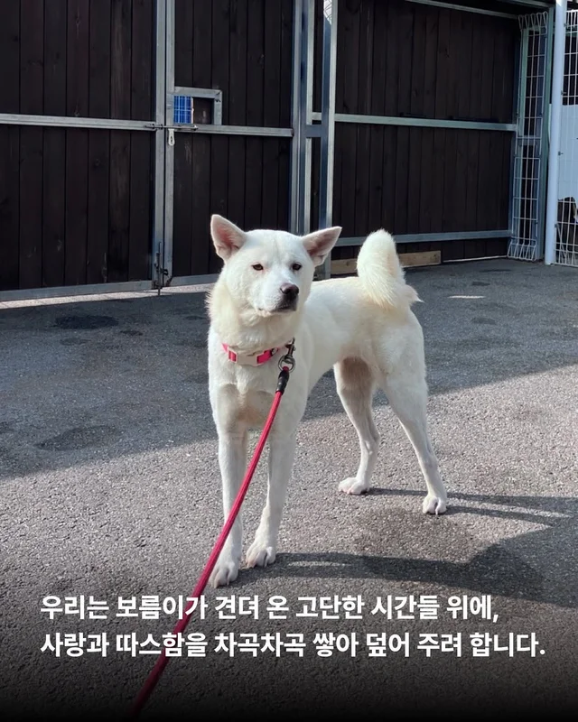 길 위의 3대 가족을 구조했습니다. #위액트보름 현장 사진