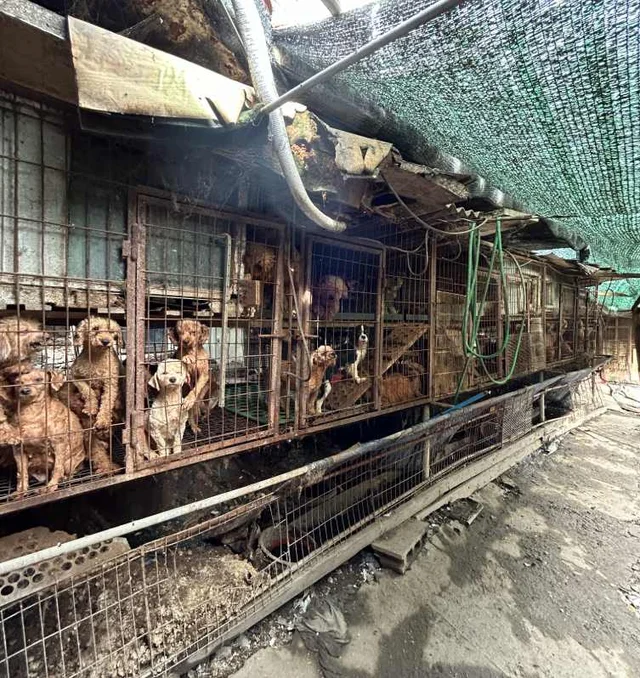 부산 개백화점 현장 사진