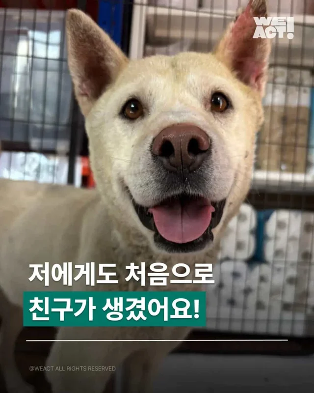 친구라는 단어가 생긴 날의 이야기 현장 사진
