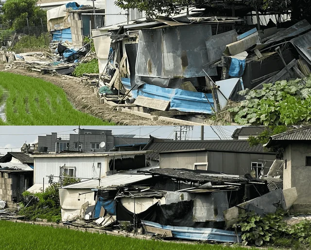 음성교살도살장 현장 사진