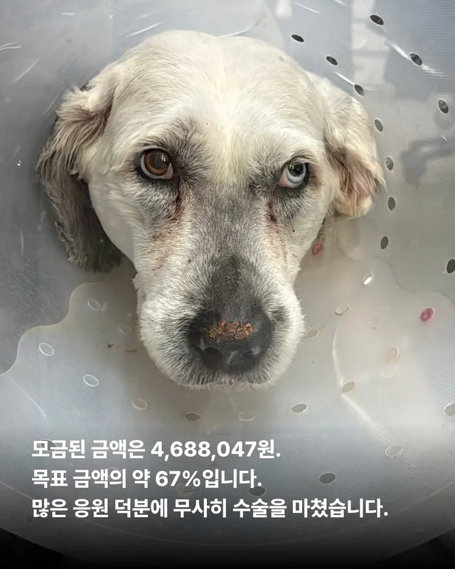 조직 검사 결과, 악성 종양... #위액트마린 현장 사진