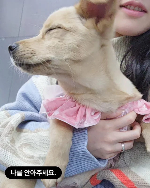 위액트팥빵 현장 사진