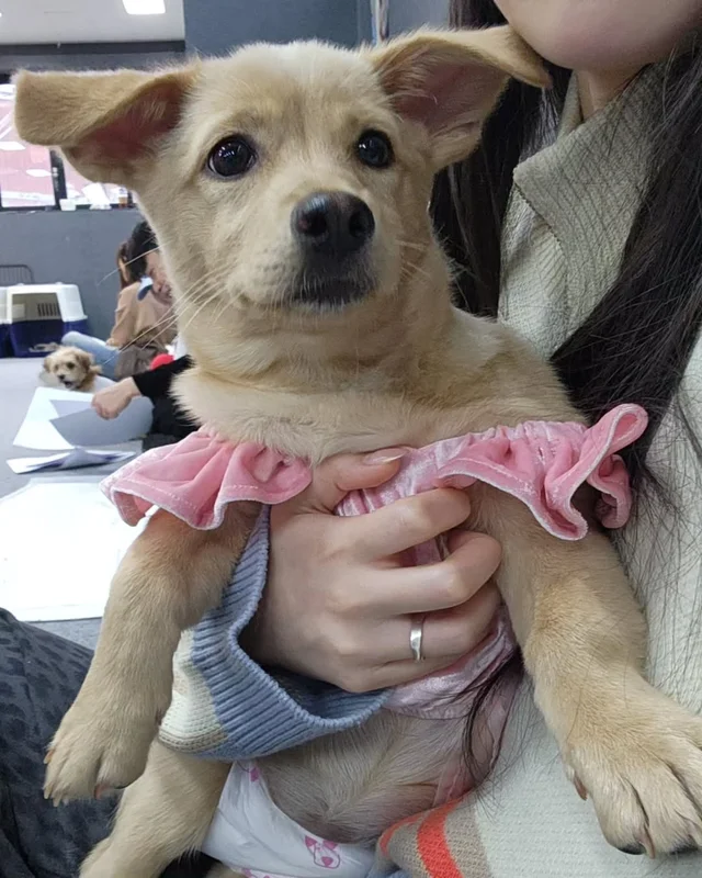 위액트팥빵 현장 사진