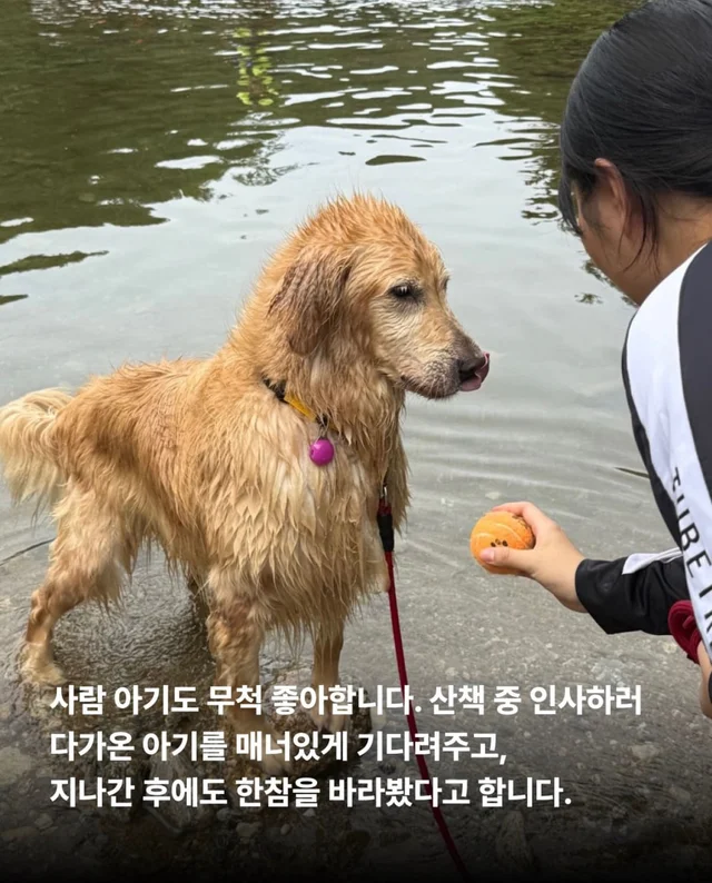 콘크리트에 갇힌개 위액트 희망이와 차안에 갇힌 리트.. 현장 사진