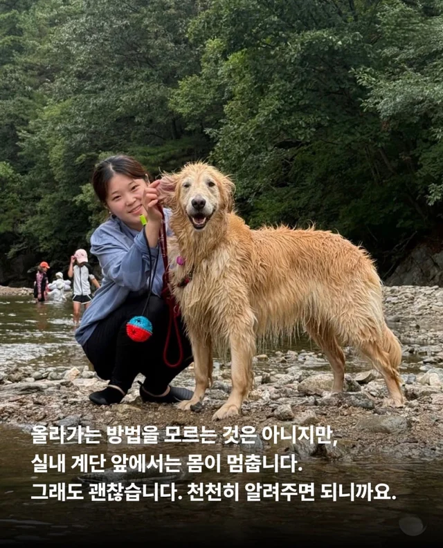 콘크리트에 갇힌개 위액트 희망이와 차안에 갇힌 리트.. 현장 사진