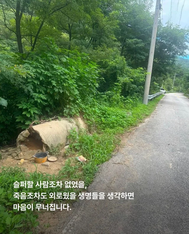 콘크리트에 갇힌개 위액트 희망이와 차안에 갇힌 리트.. 현장 사진