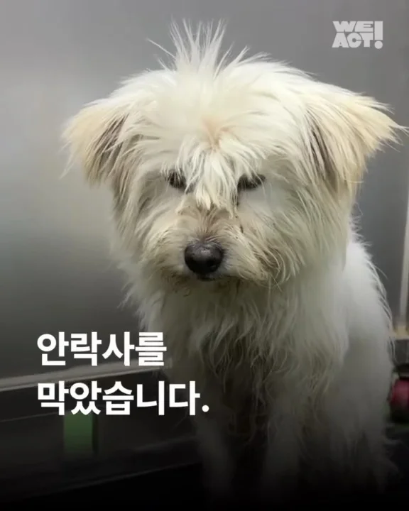 제천시보호소 현장 사진