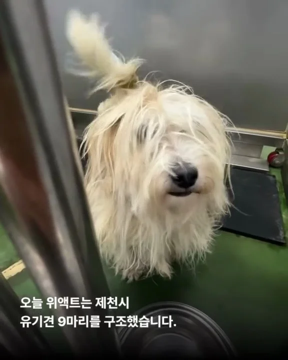 제천시보호소 현장 사진