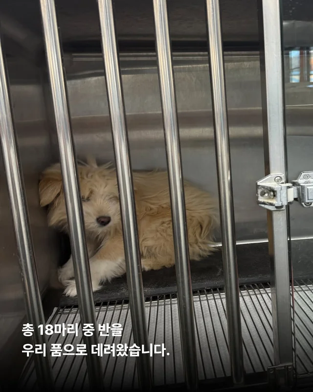 제천시보호소 현장 사진