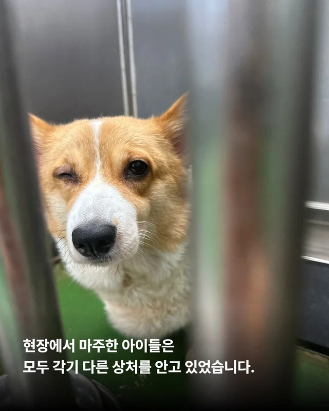 제천시보호소 현장 사진