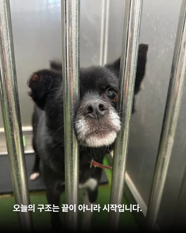 제천시보호소 현장 사진