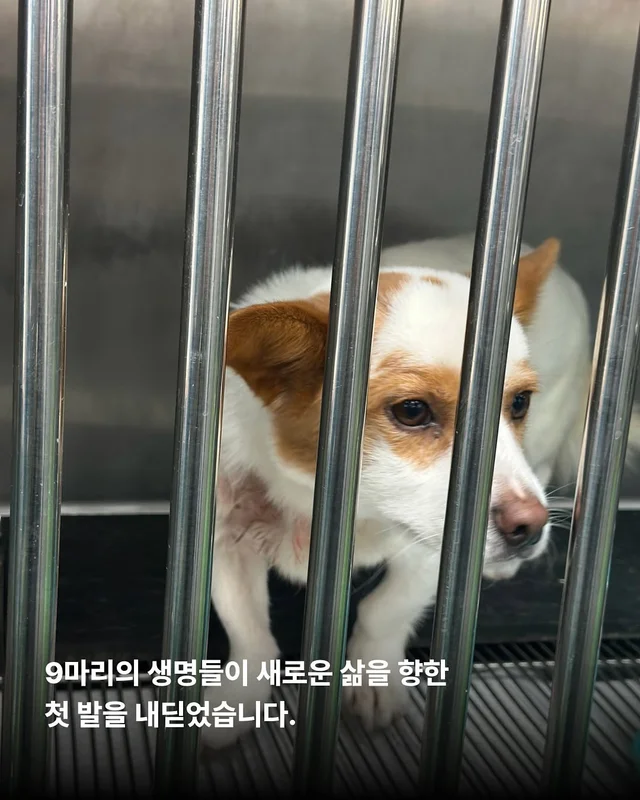 제천시보호소 현장 사진