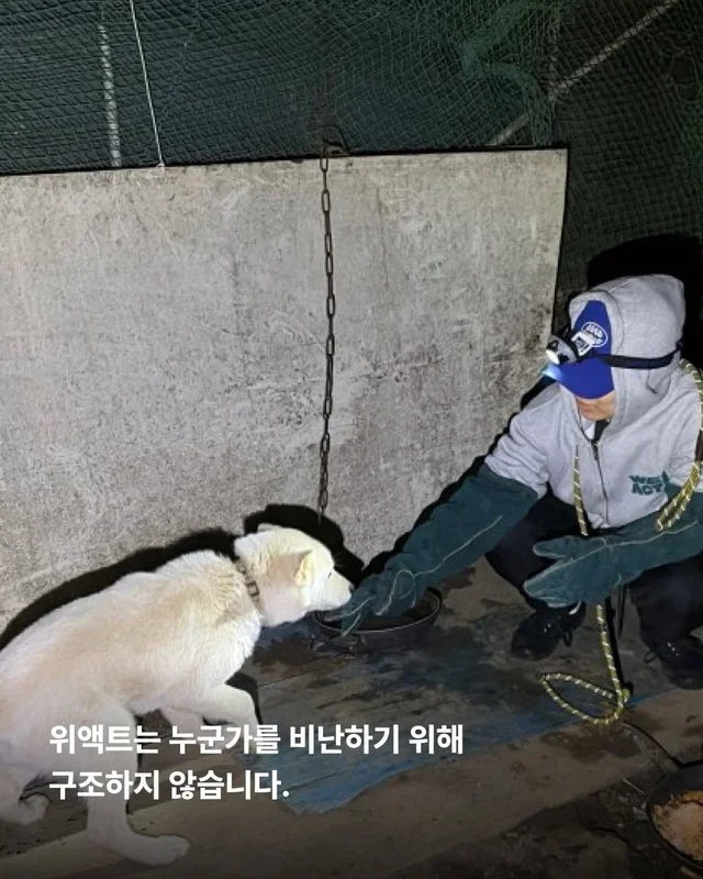 원래 이렇게 키웠어 다들 이렇게 먹었어 현장 사진