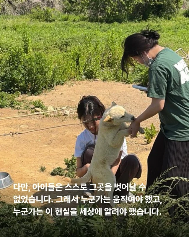 원래 이렇게 키웠어 다들 이렇게 먹었어 현장 사진
