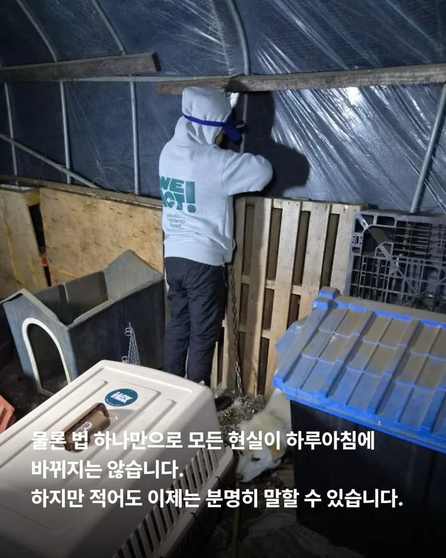 원래 이렇게 키웠어 다들 이렇게 먹었어 현장 사진
