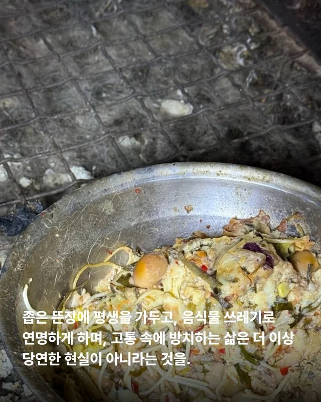 원래 이렇게 키웠어 다들 이렇게 먹었어 현장 사진