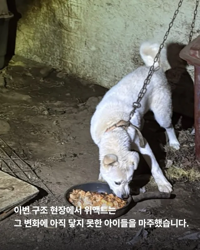 원래 이렇게 키웠어 다들 이렇게 먹었어 현장 사진