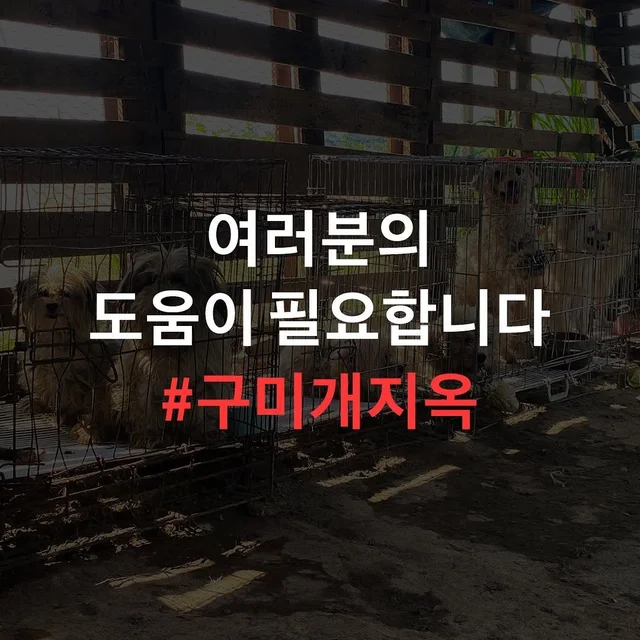 구미개농장_1 현장 사진