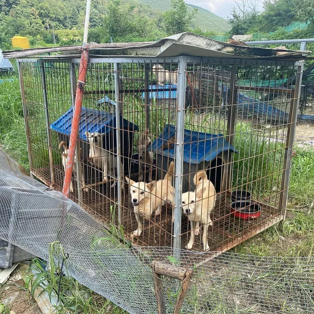 구미개농장_1 현장 사진