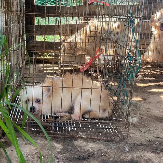 구미개농장_1 현장 사진