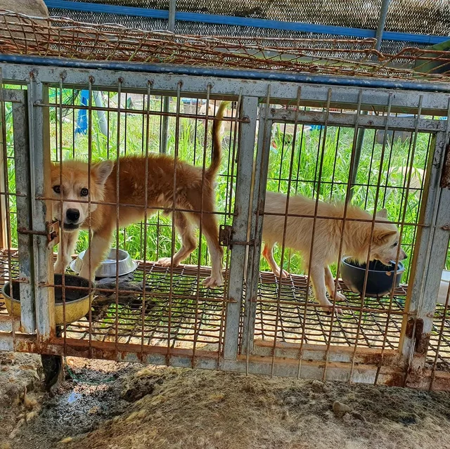 구미개농장_1 현장 사진