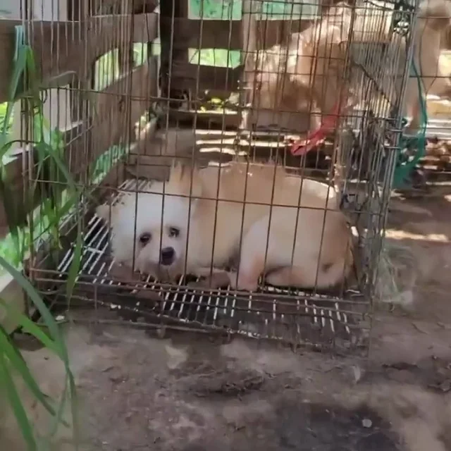 구미개농장_1 현장 사진