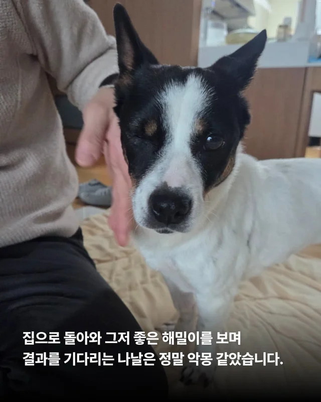 위액트에게 지난 10일은 정말 악몽 같은 시간이었습니.. 현장 사진