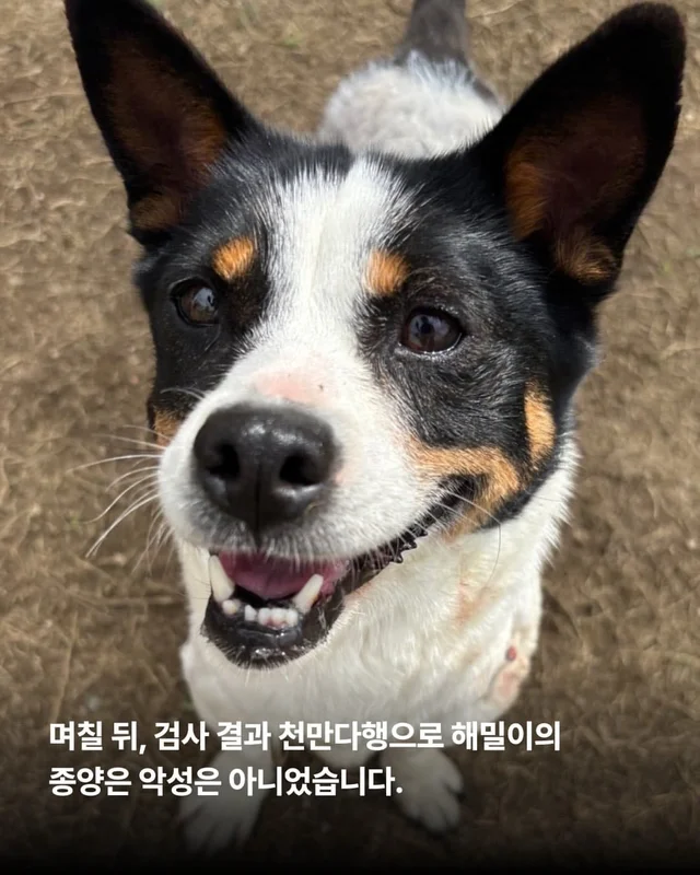 위액트에게 지난 10일은 정말 악몽 같은 시간이었습니.. 현장 사진
