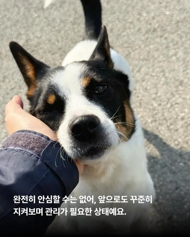위액트에게 지난 10일은 정말 악몽 같은 시간이었습니.. 현장 사진
